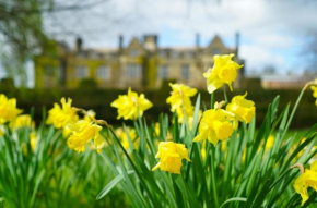  Gisborough Hall Hotel  Гуисборо